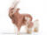 Ostheimer Getabock - bild 1