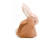 Ostheimer Hare - bild 1