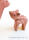 Ostheimer Kid - bild 2